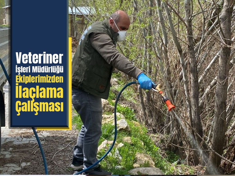 Halk sağlığı için kapsamlı ilaçlama seferberliği