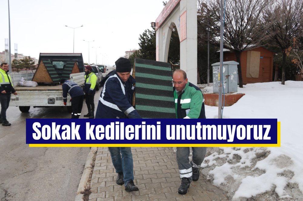 İlçenin dört bir yanına onlarca kedi evi bırakıyoruz